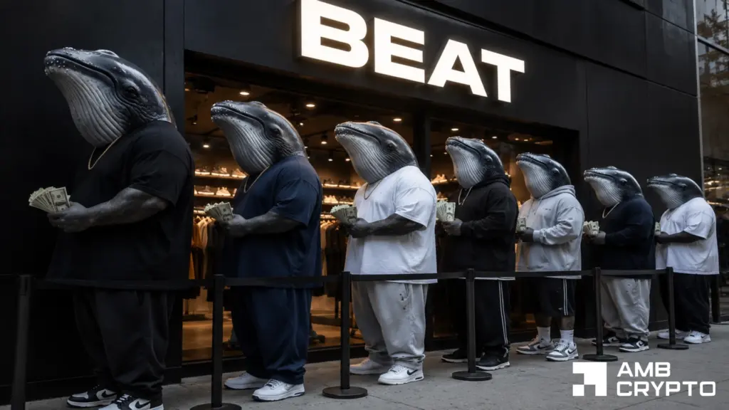 BEAT eyes a rebound - Whales accumulate as price trades in a key demand zone
