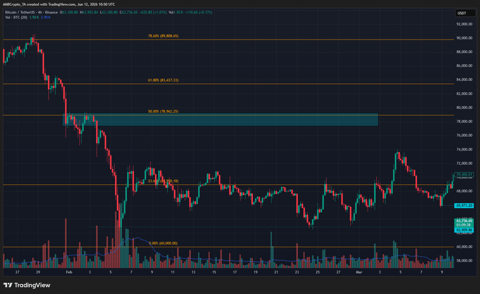 Bitcoin February Crash