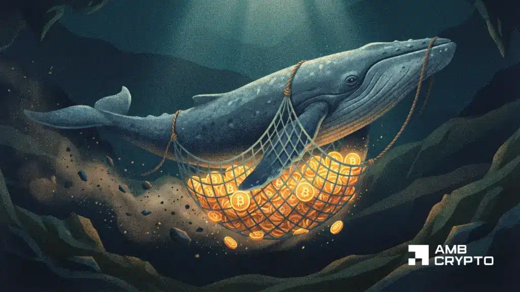 Bitcoin Futures hit $800T as whales pile in - Is demand for BTC back?