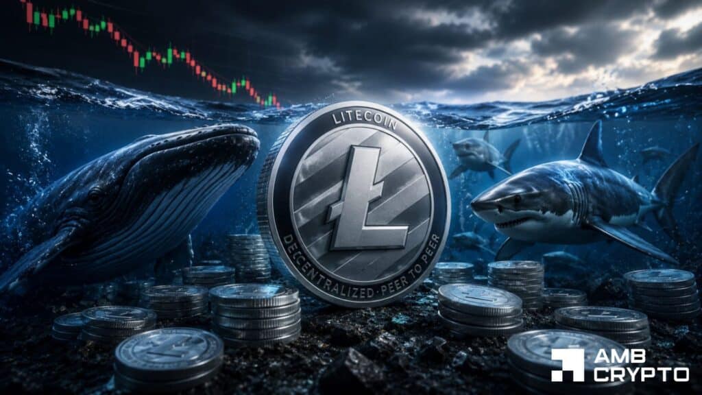 Litecoin whales add 7% more wallets in 5 months - Yet LTC is stuck near $44