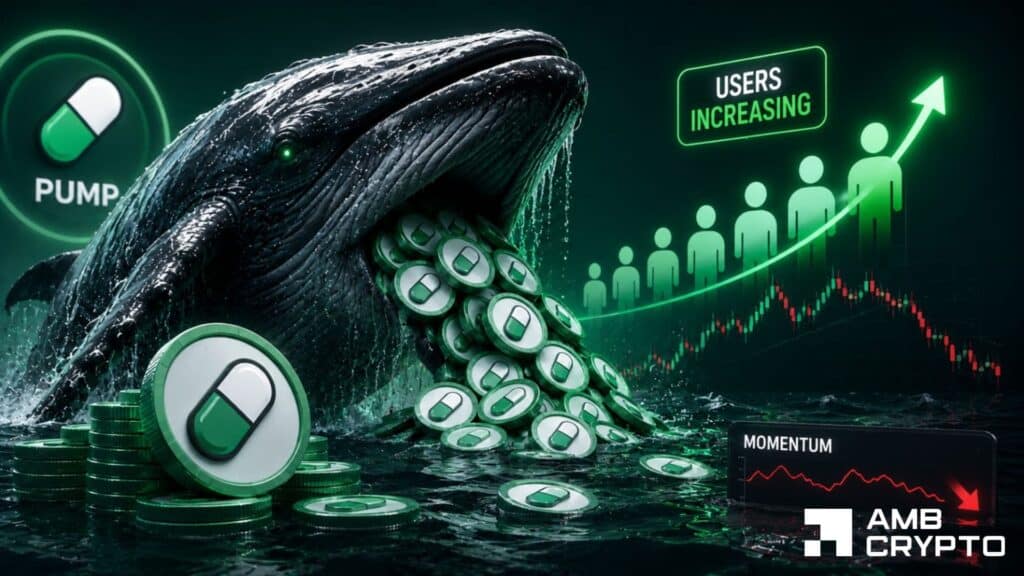 A Dormant Whale Returns With 242M PUMP Purchase: Will Price React?