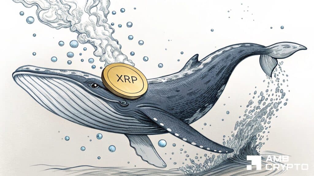 XRP whale moves 50M tokens: New accumulation phase starting?