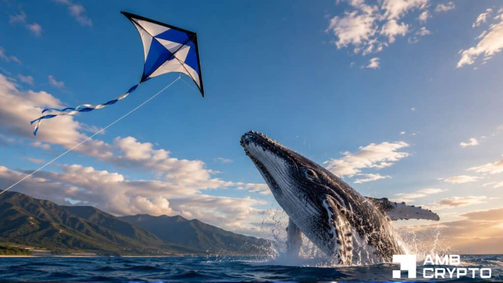 KITE whale transfer rattled traders, but can support prevent another drop?