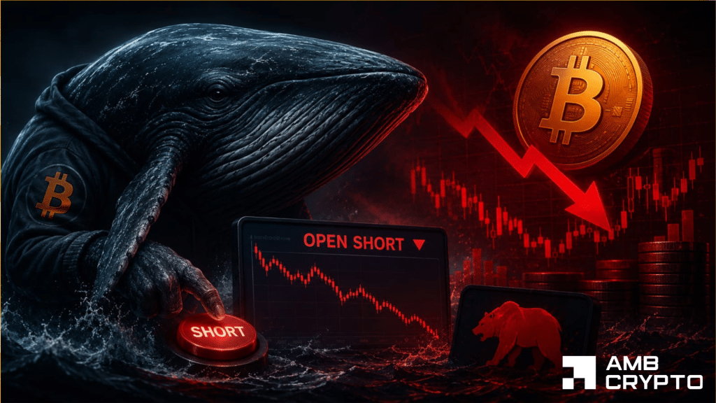 Bitcoin Whale Takes a $31M Short Bet: What's Next for BTC?