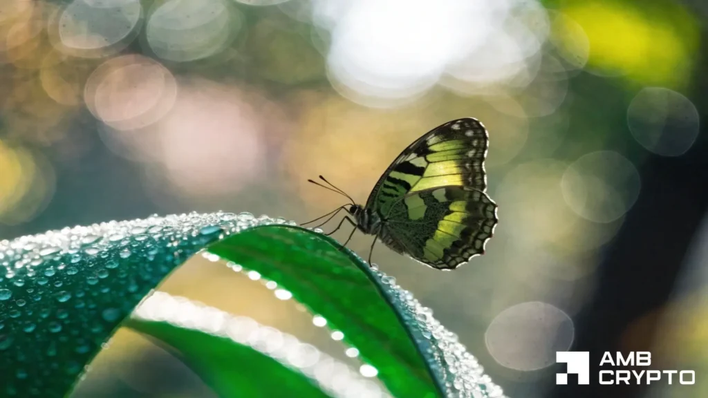 MORPHO tests key resistance after Solana launch—Will the breakout hold?