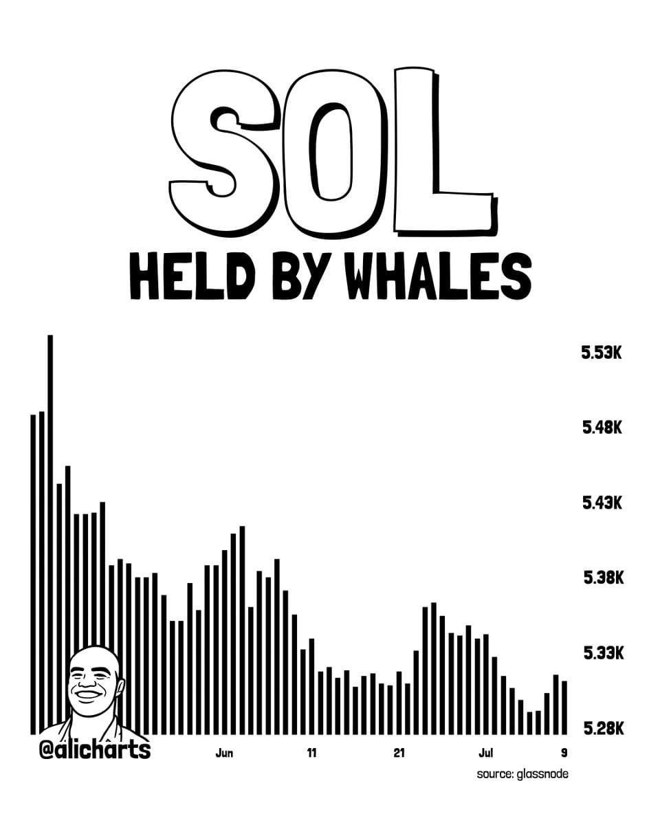 SOL Held By Whales