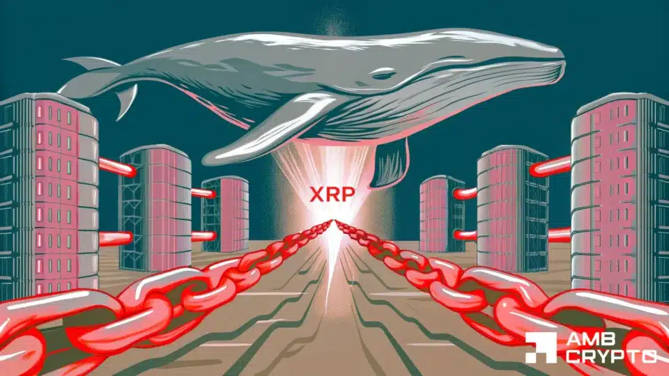 XRP whales are active, but the market is barely moving — Why?