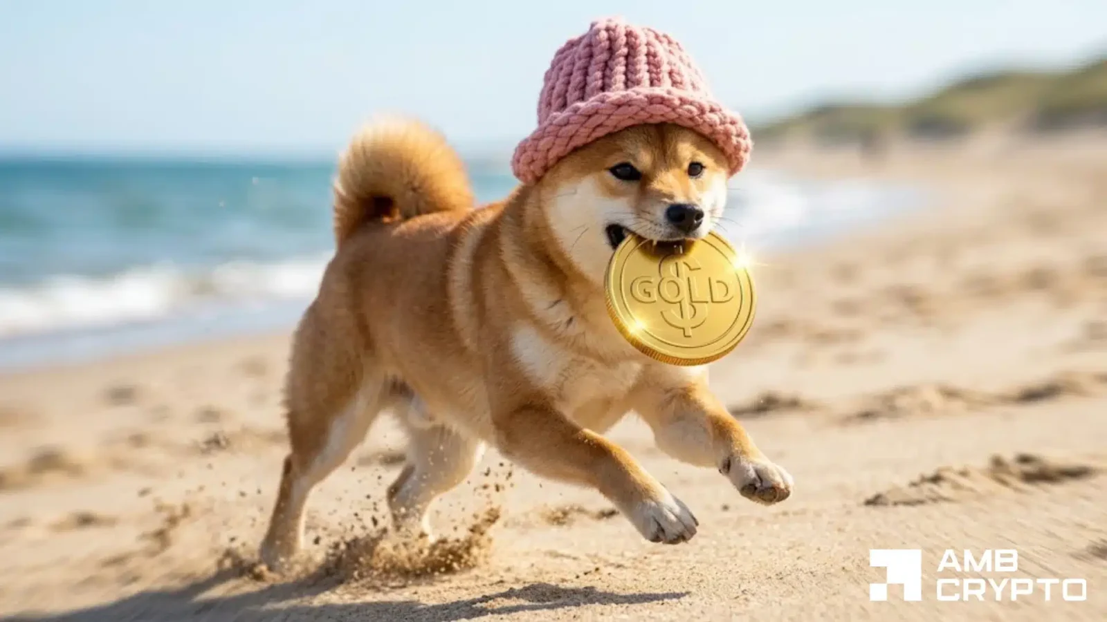 dogwifhat volume surges 128% to $190M - $0.26 next for WIF if supply breaks