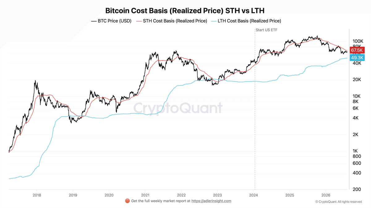 Bitcoin Cost Basis