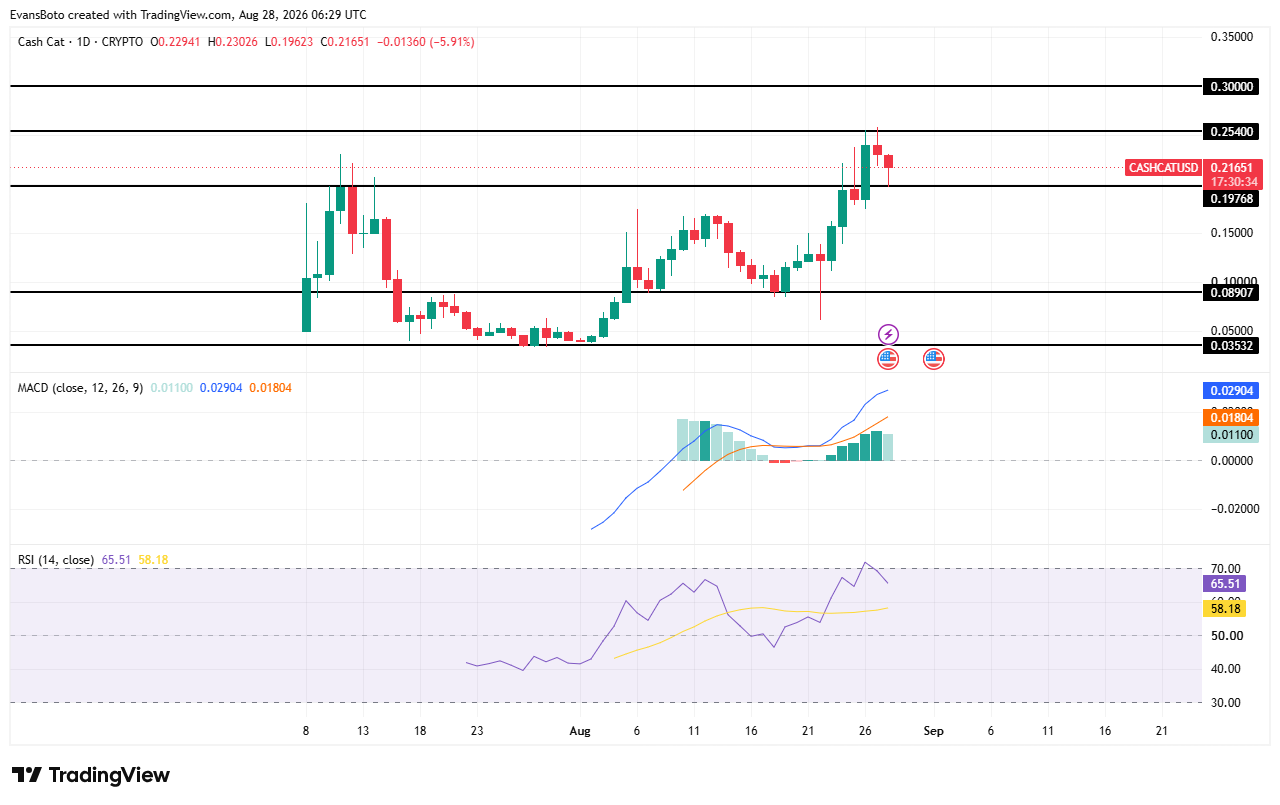 CASHCAT price action