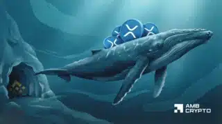 XRP whale withdraws 231M as ETFs add $28M – Who’s right?