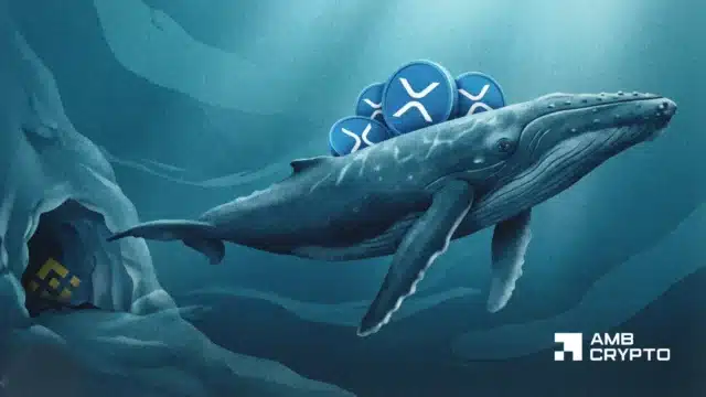 XRP whale withdraws 231M as ETFs add $28M – Who’s right?