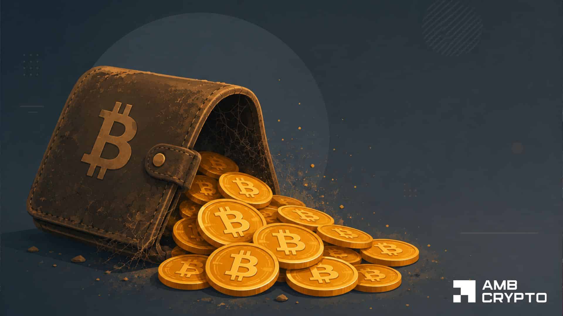 Bitcoin dormant wallet activity rises while long-term holder conviction holds