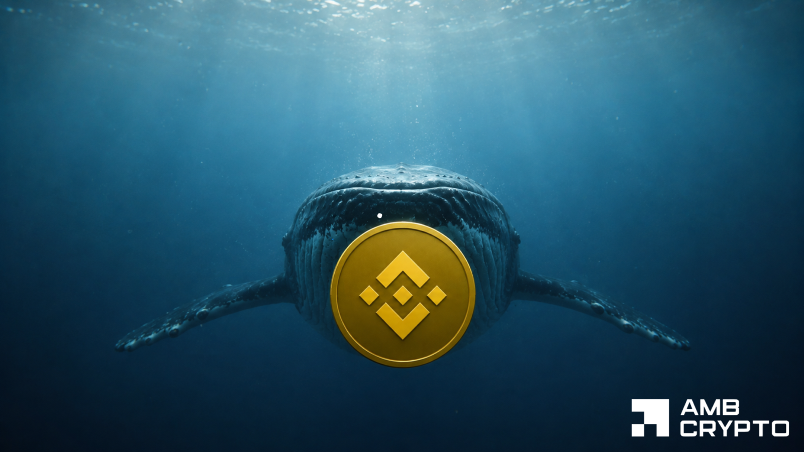 Binance Coin Whale Opens $8.5M Long Position as BNB Tests $700 Resistance