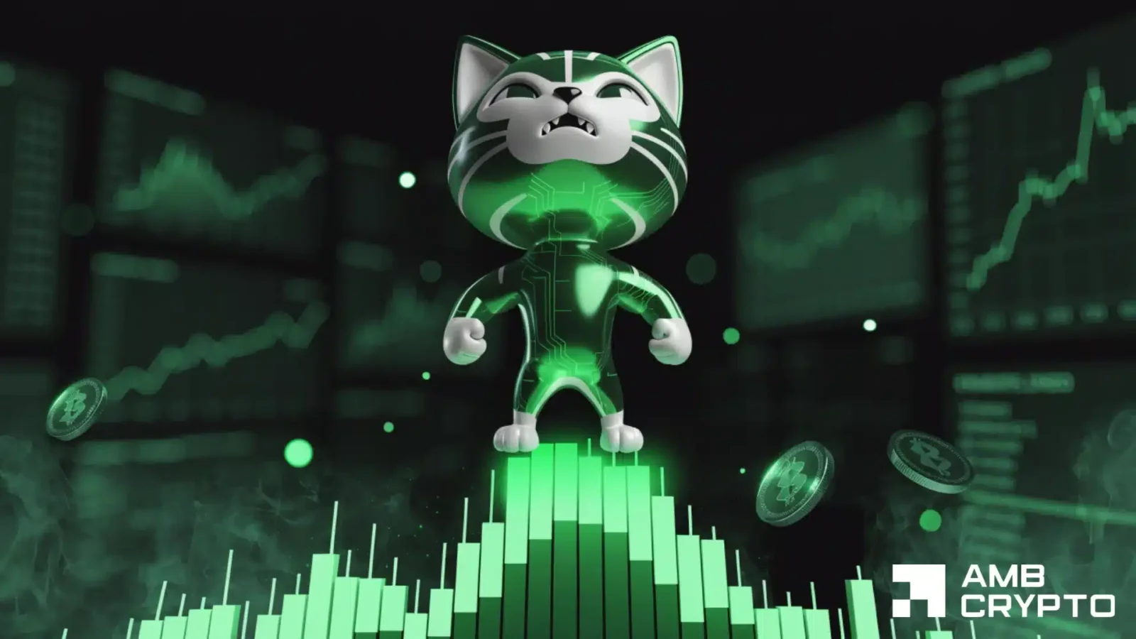 cash cat crypto