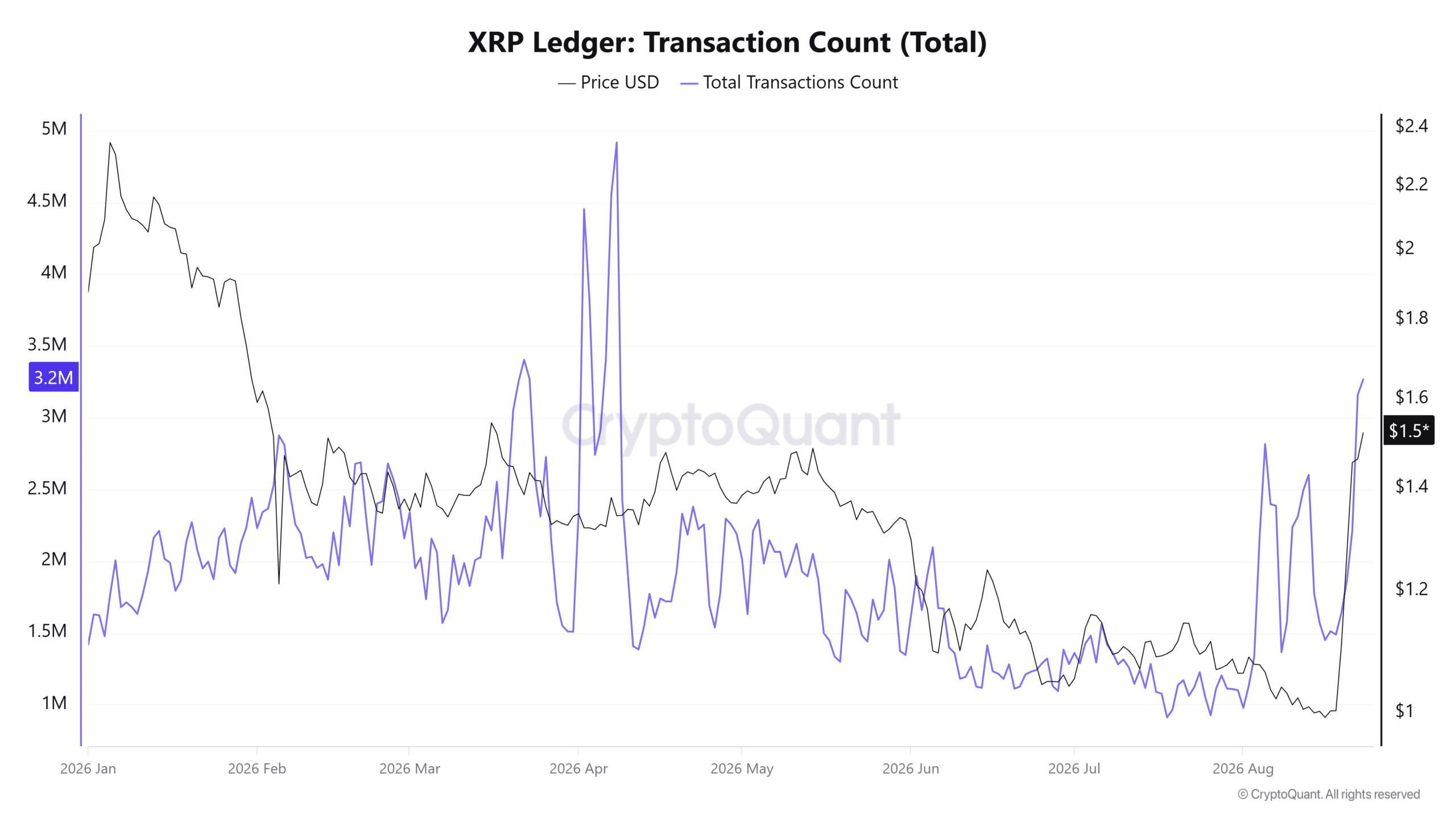 XRP transaction count