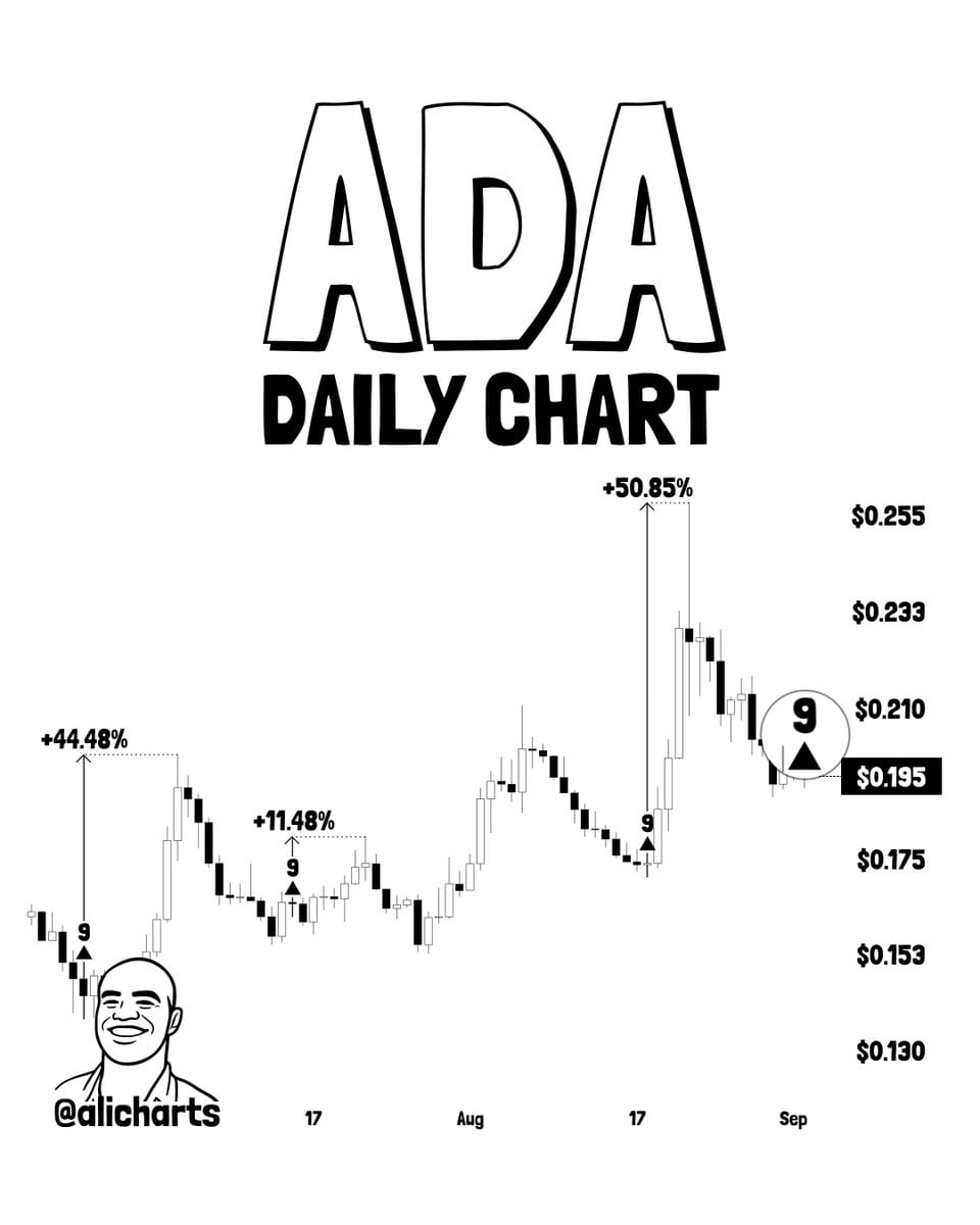 Cardano Daily
