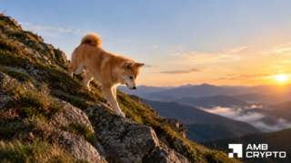 Dogecoin: Whales buy 240M DOGE, but why is price falling?