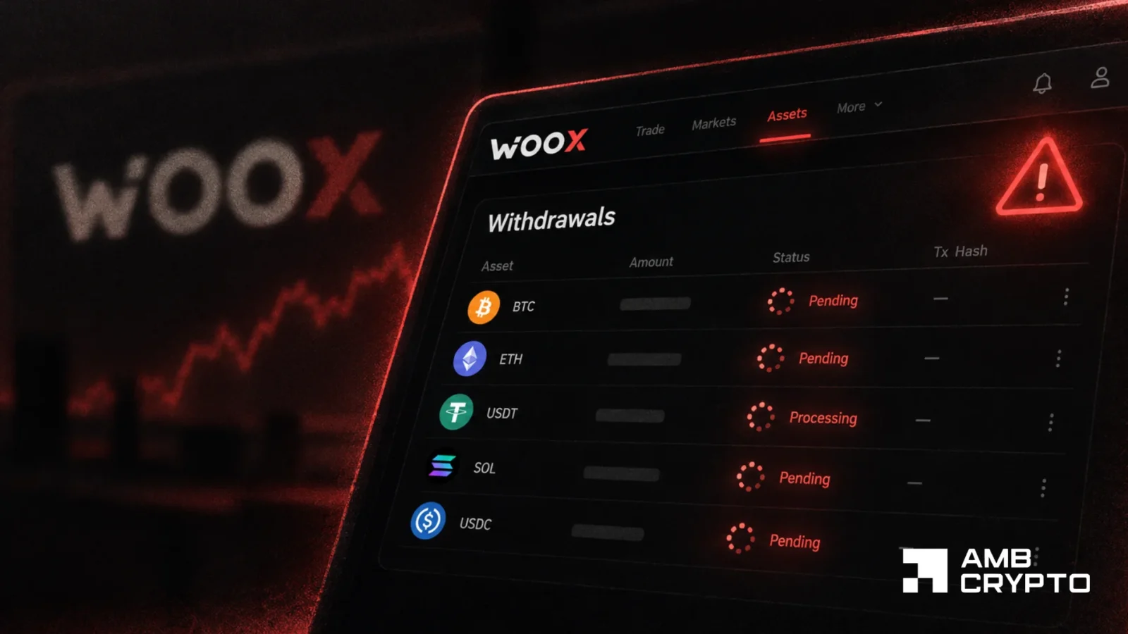 WOO X under scrutiny after 3-day withdrawal crisis: 'Are we getting rug?'