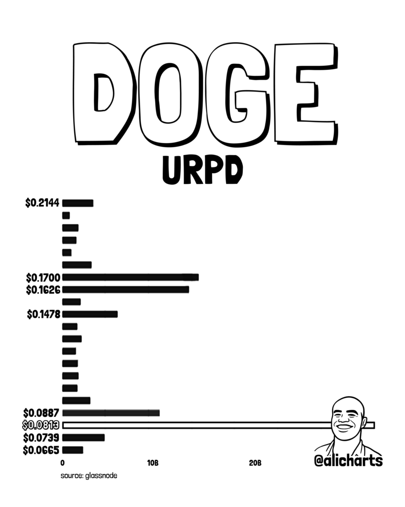 DOGE URPD