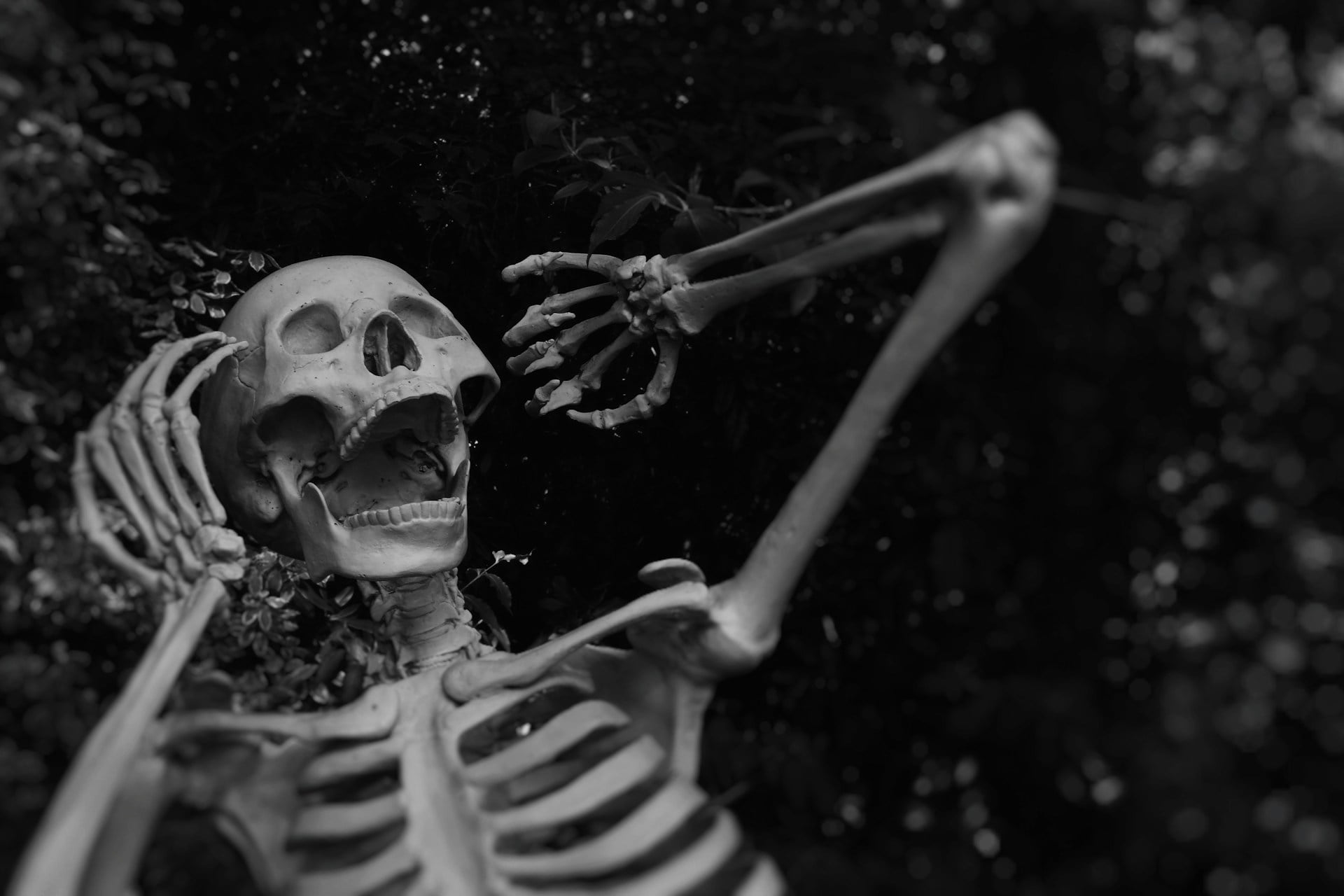 Six Memecoins to Watch in October 2026: BONK, PENGU, SHIB, PEPE, FLOKI, SPX6900