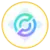 Circle Internet Group (bStocks Tokenized Stock)